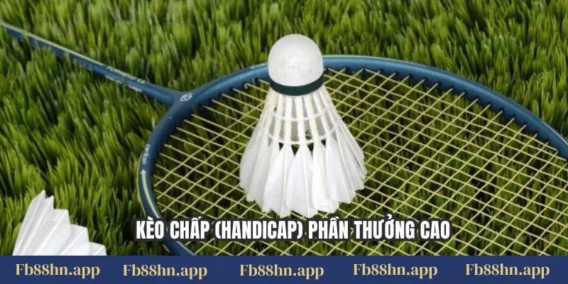 Cược Cầu Lông Fb88 - Kịch Tính Từng Cú Đánh, Thắng Lớn 6 Kèo chấp (handicap) phần thưởng cao