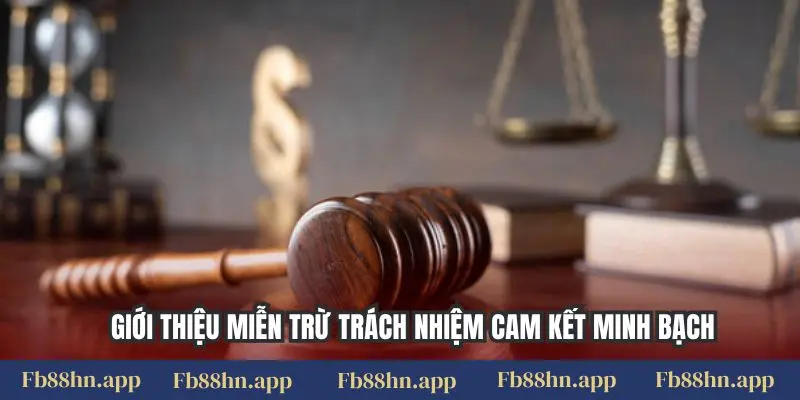 Miễn Trừ Trách Nhiệm 4 Giới thiệu miễn trừ trách nhiệm cam kết minh bạch