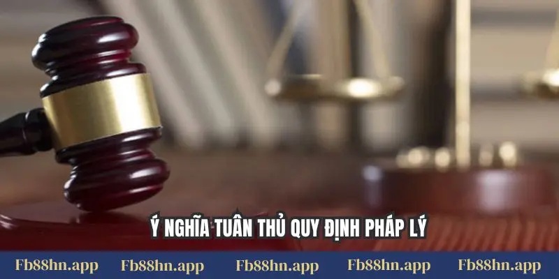 Miễn Trừ Trách Nhiệm 5 Ý nghĩa tuân thủ quy định pháp lý