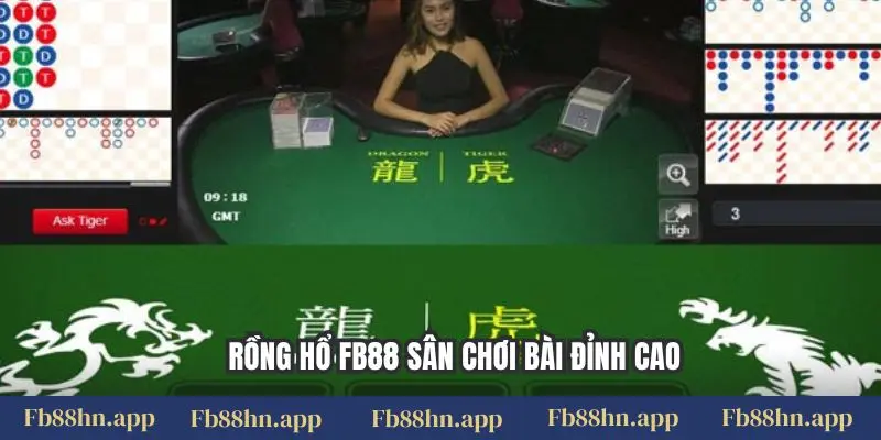 Rồng Hổ (Dragon Tiger) Fb88: Luật Chơi & Kinh Nghiệm Đặt Cược Thắng Lớn 4 Rồng hổ FB88 sân chơi bài đỉnh cao
